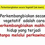 Arbei Berkembang Biak Dengan Cara Stolon